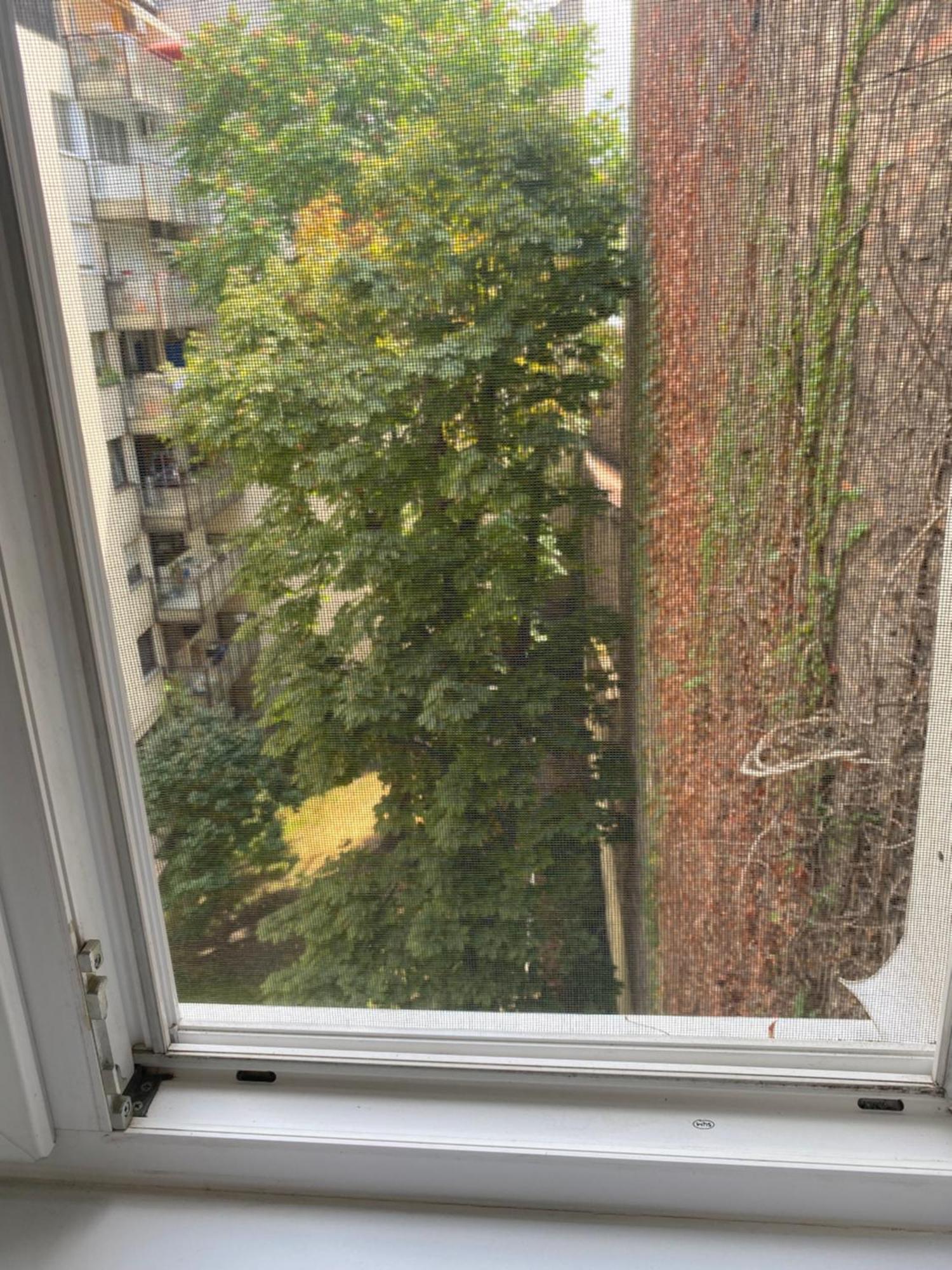 Budapest Oasis One Bedroom For Renting Dış mekan fotoğraf